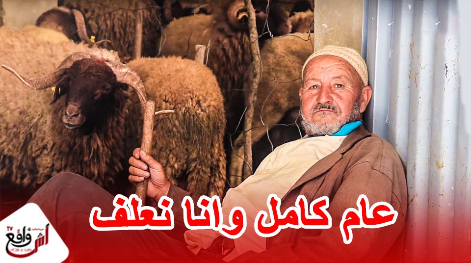 أصحاب الكراجات لبيع الاضاحي طالع ليهم الدم دولة ما معاوناناش