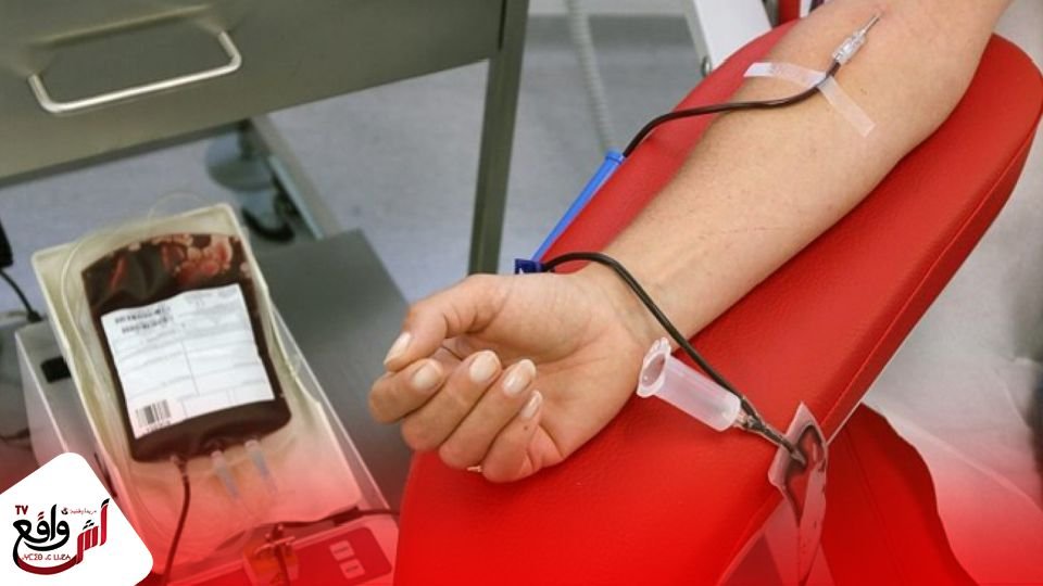 بعيدا عن المدرجات.. جماهير كرة القدم الوطنية تواصل العطاء بمبادرات إنسانية واجتماعية