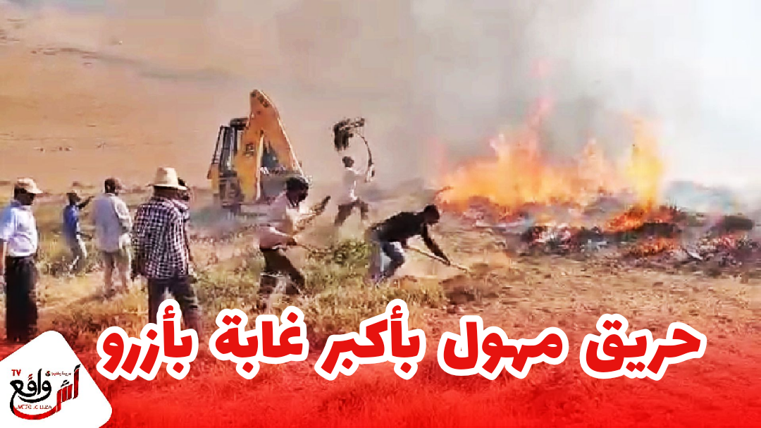 النيران تلتهم عشرات الهكتارات بأكبر غابة ضواحي مدينة أزرو.. رجال الوقاية المدنية دايرين كثر من جهدهم