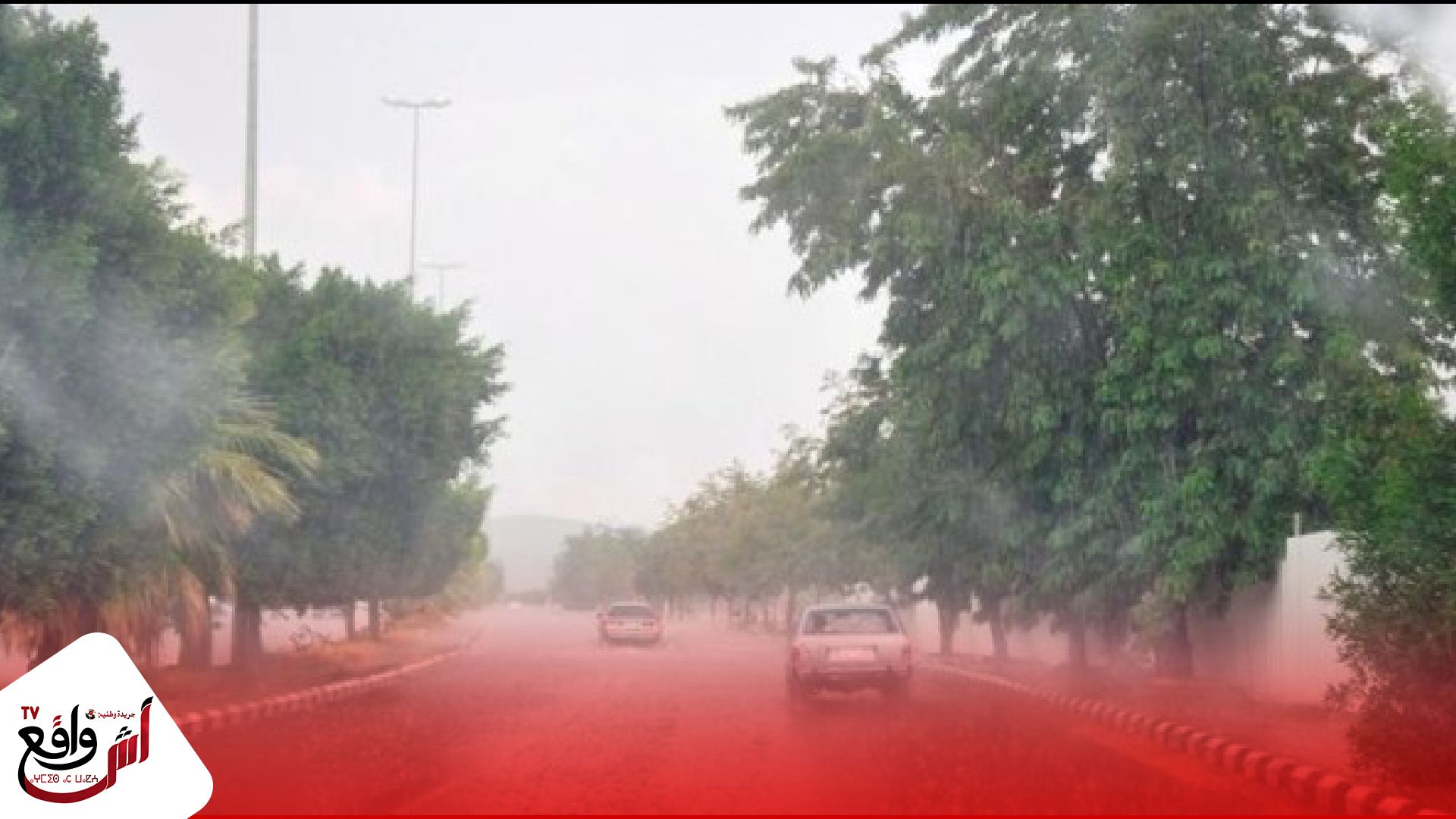 زخات رعدية محليا قوية وطقس حار بعدد من مناطق المملكة