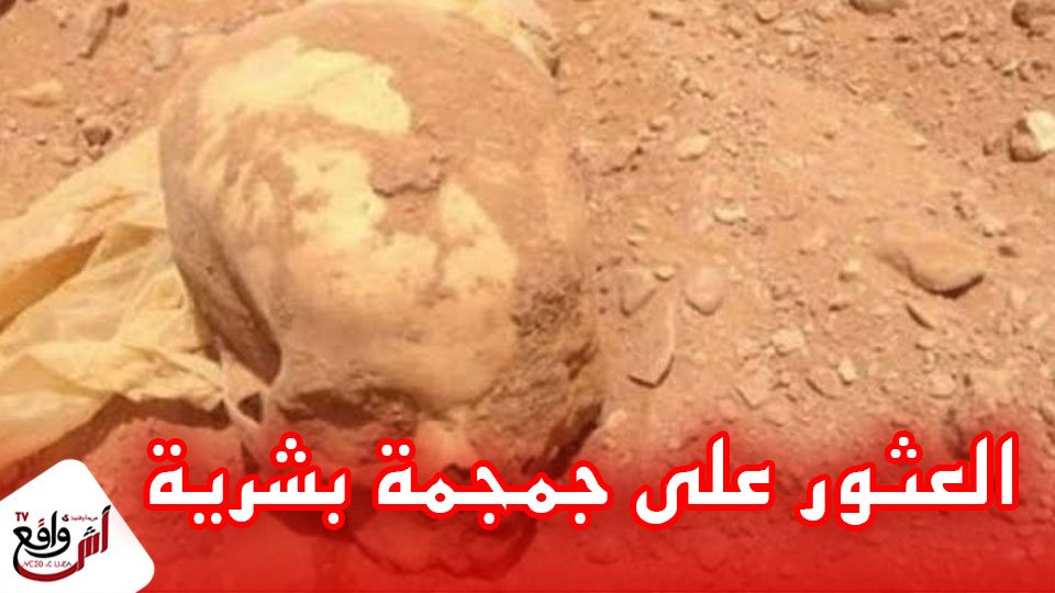 العثور على جمجمة بشرية بالقرب من إحدى المدارس بإقليم شيشاوة يثير إستنفار السلطات