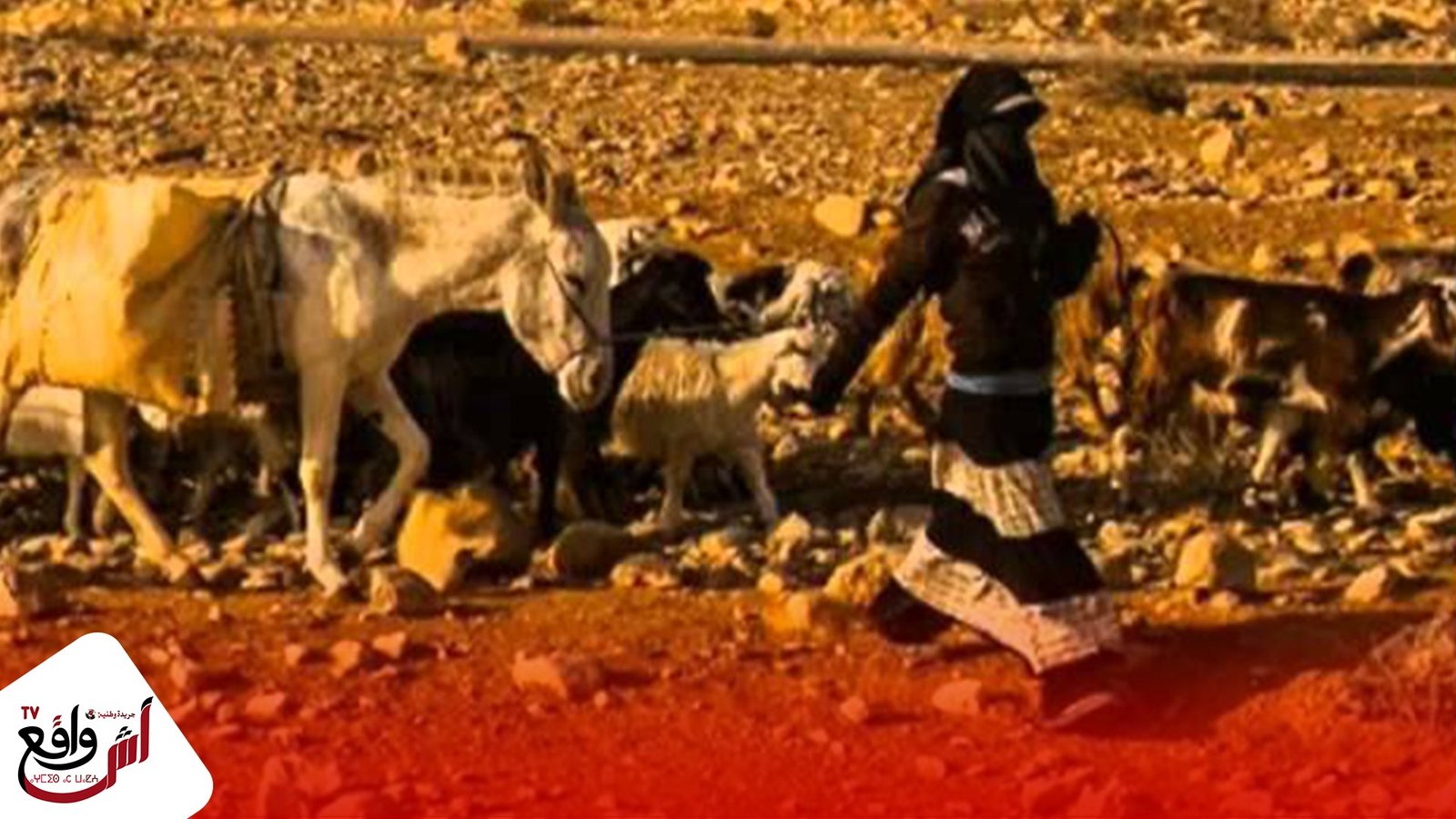 هكذا تم إختطاف راعية غنم واغتصابها ضواحي شيشاوة