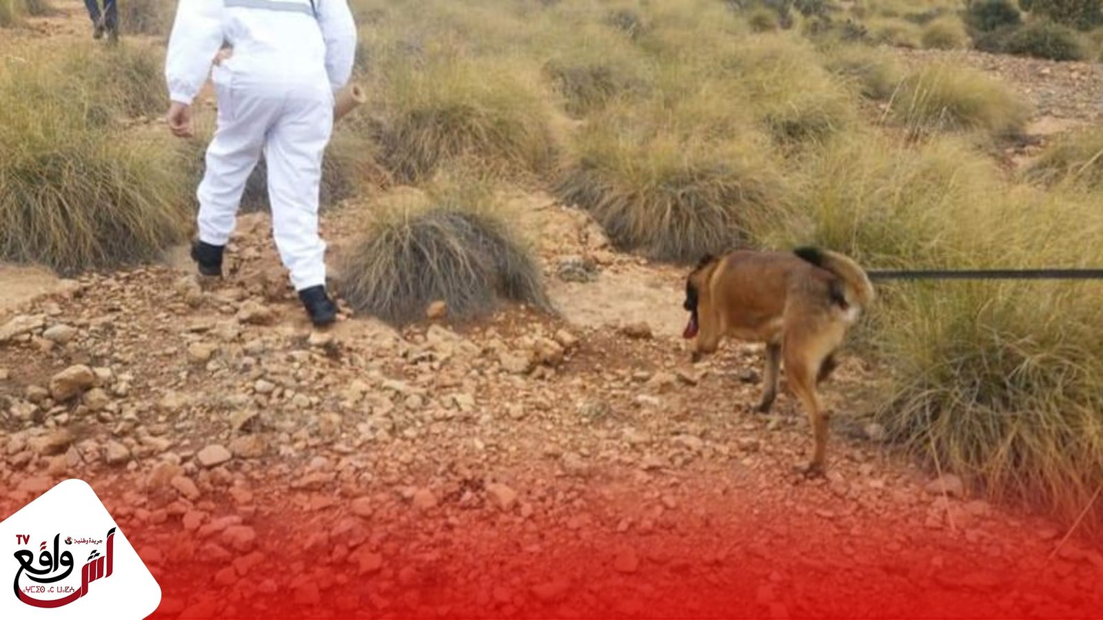 بعد اختفائها لثلاث أسابيع.. تفاصيل جديدة في قضية طفلة مقتولة وسط الغابة بجرادة