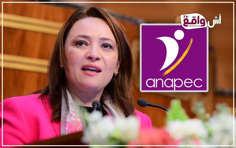 أخنوش يُقيل مديرة "أنابيك": "بلمعطي" خارج الخدمة و"عصري" في مهمة "السرعة القصوى" للتشغيل