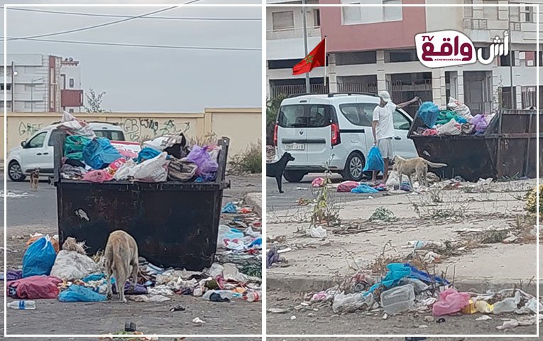الحد السوالم تختنق في القمامة: كارثة بيئية وصمت مريب يهدد الصيف