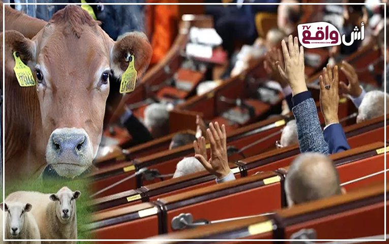 خلاف برلماني يعرقل تحقيقًا حول "دعم الفراقشية" مع نهاية الدورة التشريعية
