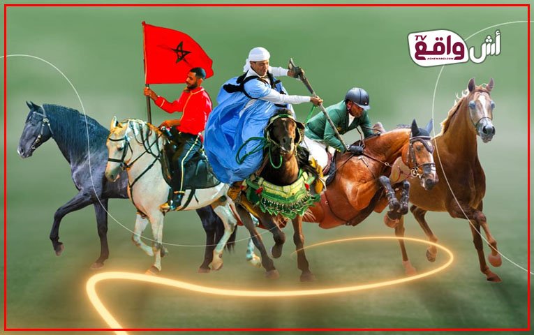 معرض الفرس بالجديدة يحتفي بالتراث: ندوات دولية تناقش رعاية الخيل في دورته السادسة عشرة