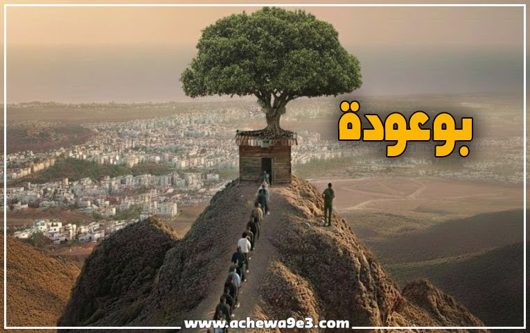 إمبراطورية "بوعودة" بالحوزية سوق حرة للممنوعات.. من الكيف إلى الكوكايين