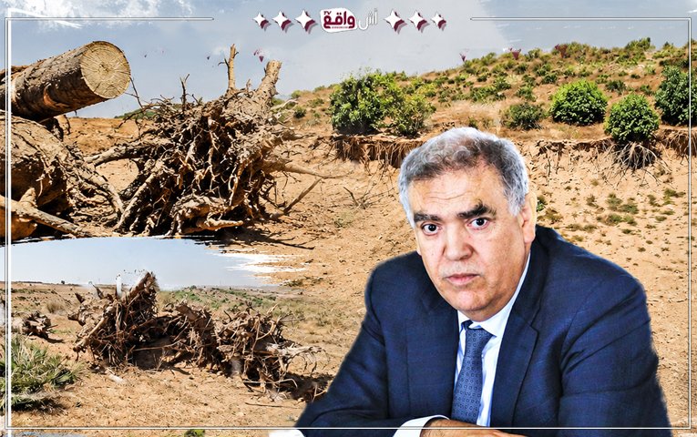 صرخة استغاثة من جماعة سيدي علي بن حمدوش: "مافيا الرمال" تنشر الرعب، تجتث الأشجار، وتنهب الممتلكات بالقوة