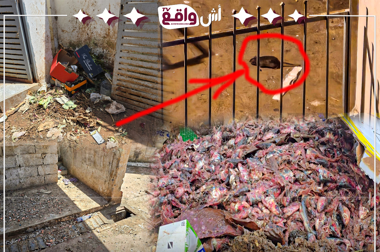 Achewa9e3TV
